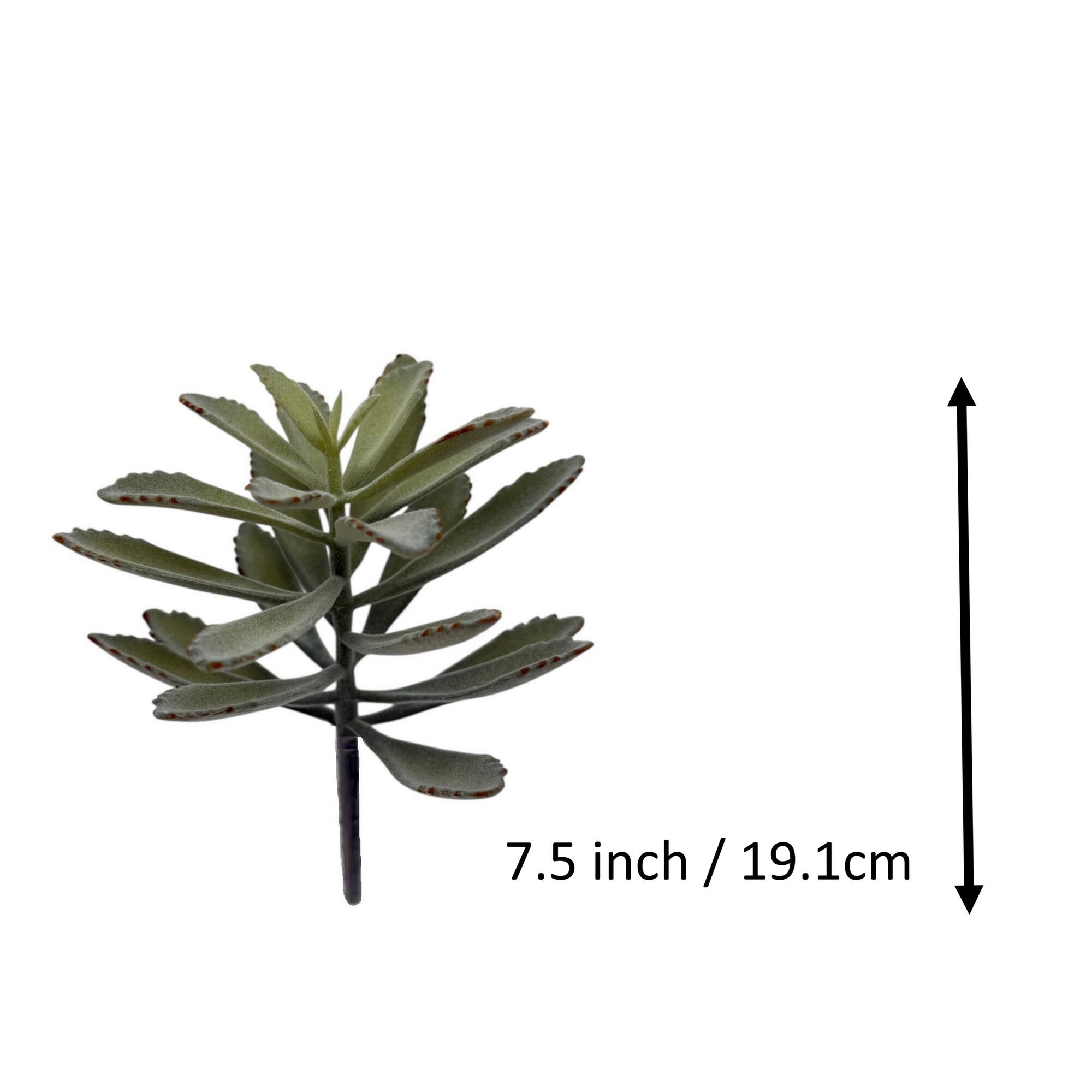7.5" Kalanchoe Pick by Ashland®